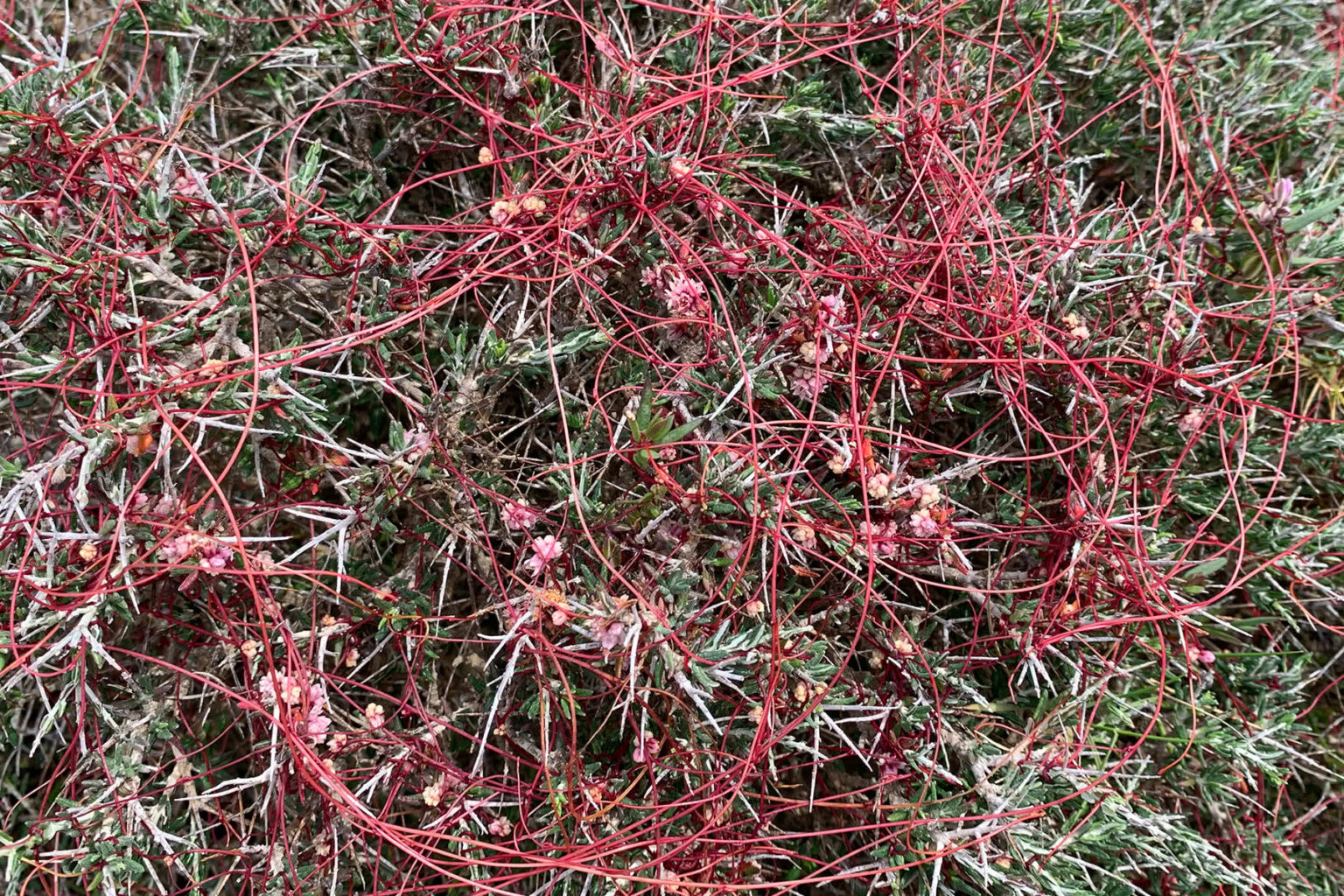 Mitgliederversammlung des Freundeskreis Botanischer Garten Erlangen e ...