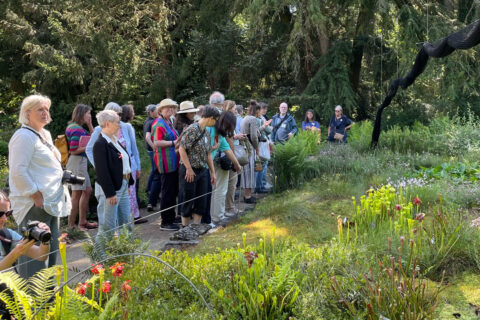 Führung mit Rudolf Höcker zum Moor im Botanischen Garten